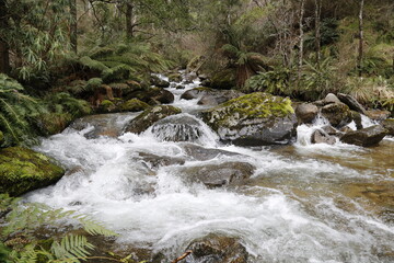 mountain stream