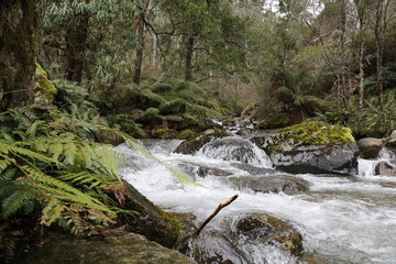 waterfall in the mountains