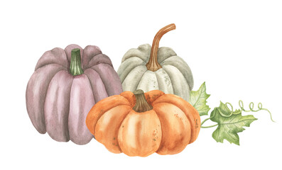 Illustration of a pumpkin