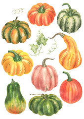 Set of pumpkins