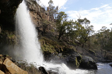 waterfall in the forest