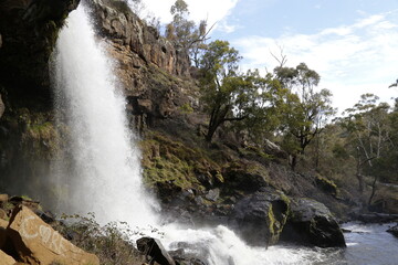 waterfall in the forest