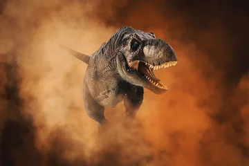 Lichtdoorlatende rolgordijnen Dinosaurus Tyrannosaurus T-rex, dinosaurus op rook achtergrond
