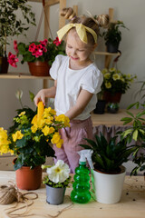 a little blonde girl with a headband on her head and wearing work gloves sprays or waters indoor flowers. Concept of spring time, home gardening, child house-help. Lifestyle, space for text. 