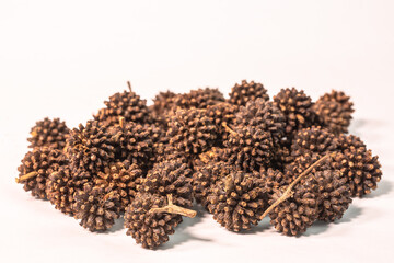 
close up Gaysorn is inside of the kratom seeds in white background.
The seeds had to be unwound to...