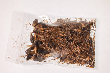 Kratom seeds are packed in sachets for sale..Gaysorn Kratom is packaged in a clear plastic pouch...