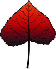 poplar leaf vector colour autumn