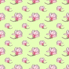 seamless pattern with magnolia 
