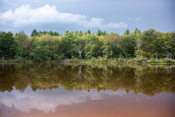 reflection of a forest on the edge of a lake with beautiful clouds