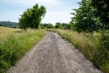 Gravel road between trees and fields with beautiful blue sky in summer