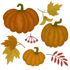 Set of elements autumn theme pumpkin leaves berries