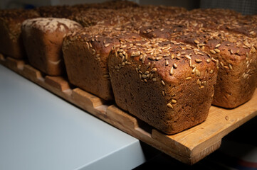 Close-up fresh brown loaves of rye bread in the form of bricks with sunflower seeds on a crust. Lie on a wooden rack