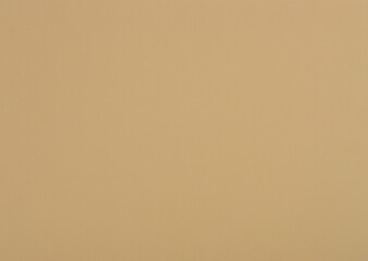 Creamy ivory neutral paper background. Cameo colour paper texture.