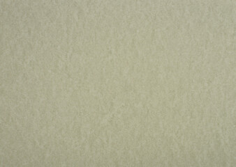 Fototapeta na wymiar Eagle colour paper background. Blank paper texture.