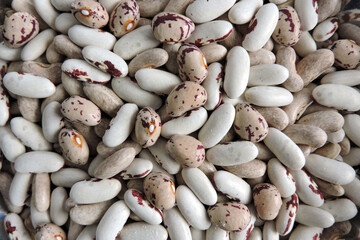 Colourful beans infested and destroyed by weevils, beans with round circles under skin