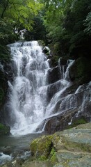 Fototapeta premium waterfall in the mountains