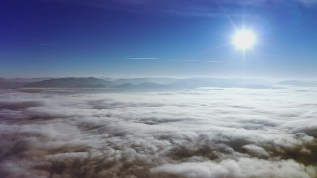 High snowy mountain covered with evergreen fir trees on a sunny cold day