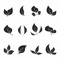 Leaf icon Vector Illustration design Logo template