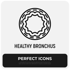 Healthy bronchus thin line icon. Modern vector illustration.