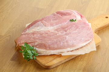Piece of the raw pork meat