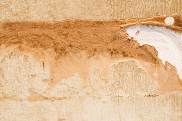 Gypsum wall Old paint peeling