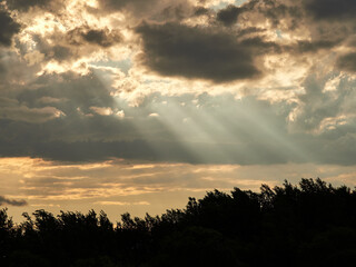 The sun's rays make their way through the clouds over the forest.