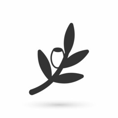 Grey Olives branch icon isolated on white background. Vector