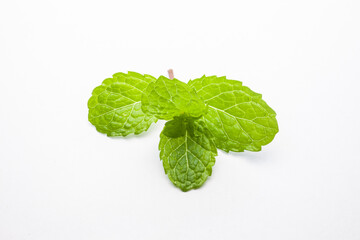mint leaves