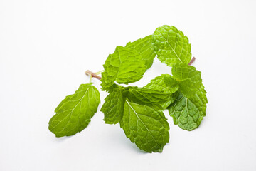 mint leaves