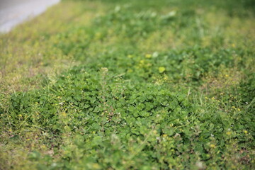 한강 서울 한국