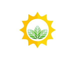 Shinning sun with three nature leaf and circuit technology inside