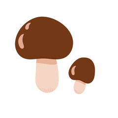Forest edible yellow boletus mushroom vector illustration, seasonal autumn simple drawing healthy vegetarian diet ingredient for menu design, hand drawn image