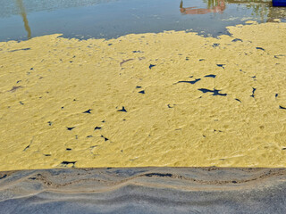 Brown bubbles float in wastewater treatment ponds, activated sludge treatment systems, aeration ponds.