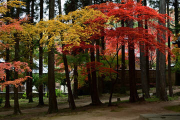 秋になると紅葉が美しい岡山県の曹源寺