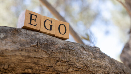 The word ego was created from wooden cubes. close up