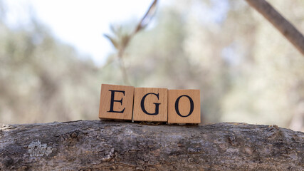 The word ego was created from wooden cubes. close up - obrazy, fototapety, plakaty