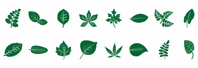 leaf icon set, leaf vector set symbol illustrations