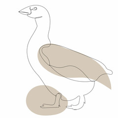 goose drawing by one continuous line, sketch