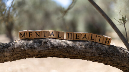 The word Mental Health was created from wooden cubes.