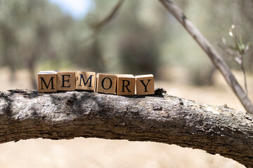 The word MEMORY was created from wooden cubes.