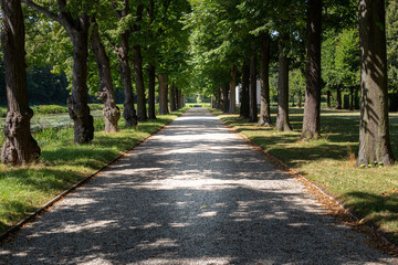 Fototapeta na wymiar Hannover - Herrenhausen garden. Autumm landscape. Ornamental trees along the path.