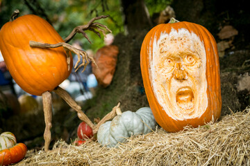 Carved Halloween pumpkins with scary faces, New York City.