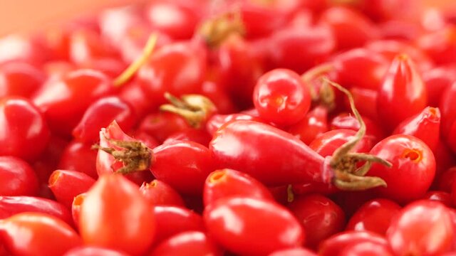 The fresh crop of rose hips is spinning. Close-up of wild rose berries. A bright red pile of harvested fresh rose hips. Selective focus, shallow depth of field