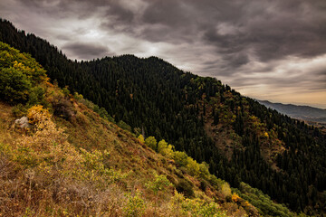 landscape in the mountains