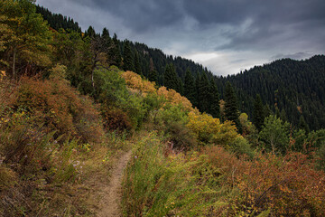 landscape in the morning