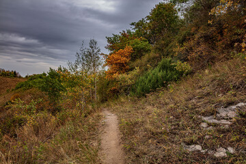path in the autumn forest