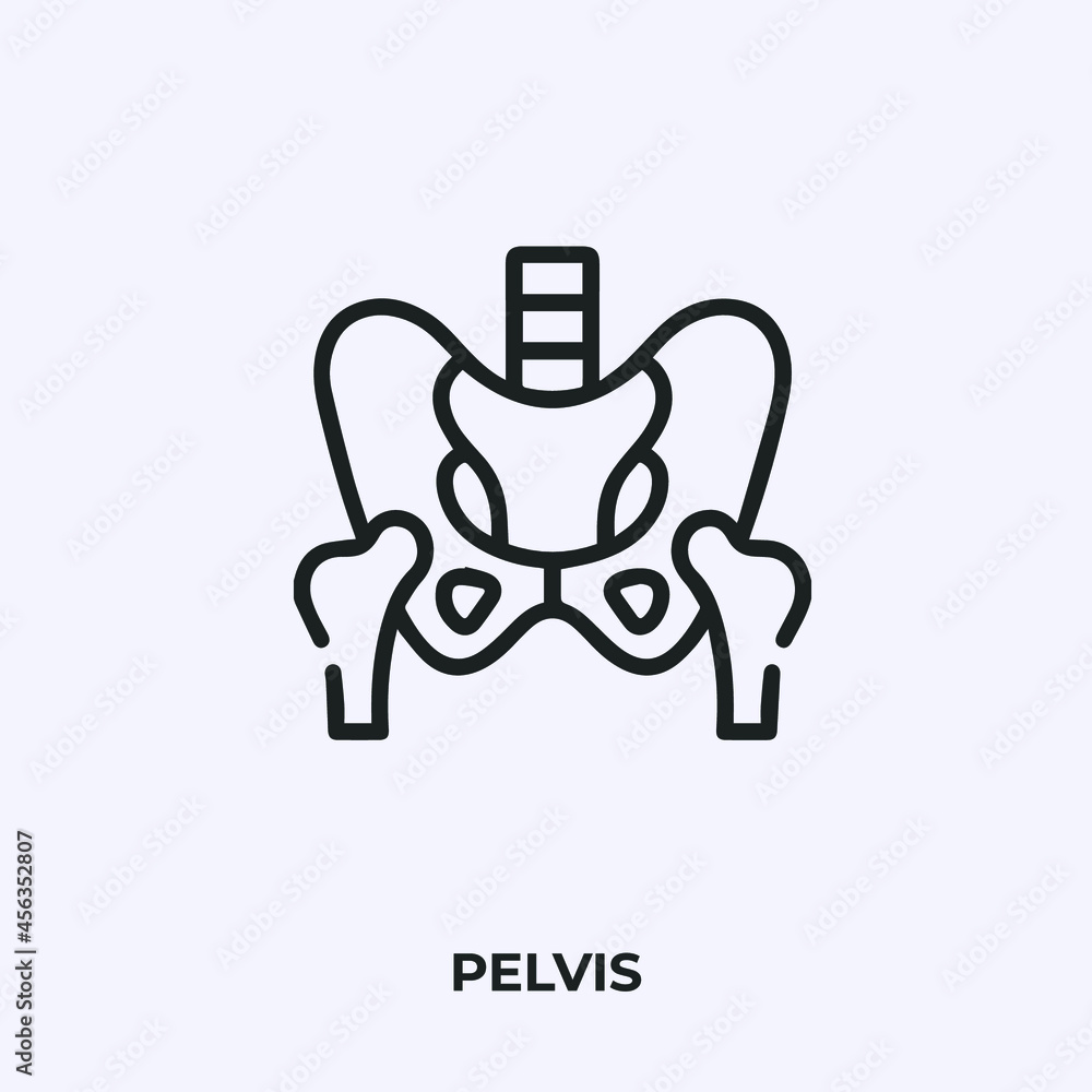 Poster pelvis icon vector. linear style sign for mobile concept and web design. pelvis symbol illustration.