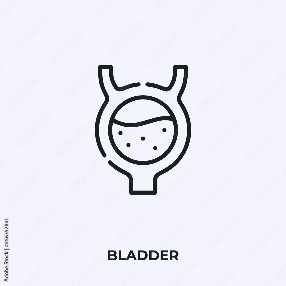 Poster bladder icon vector. linear style sign for mobile concept and web design. bladder symbol illustratio