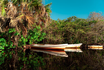 Reflections of two boats in a river in Mexico