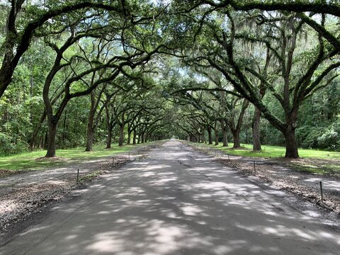 Wormsloe